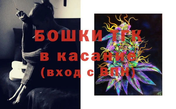 гидра Алексеевка