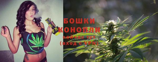трава Переславль-Залесский