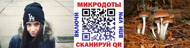 Галлюциногенные грибы GOLDEN TEACHER  KRAKEN ссылка  Собинка 